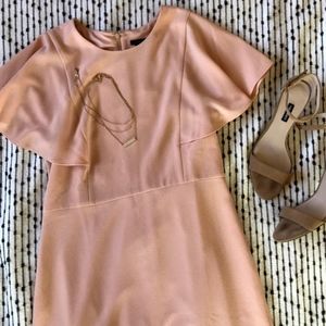 Ann Taylor Peach/Pink Dress Drapey Ruffle Sleeve